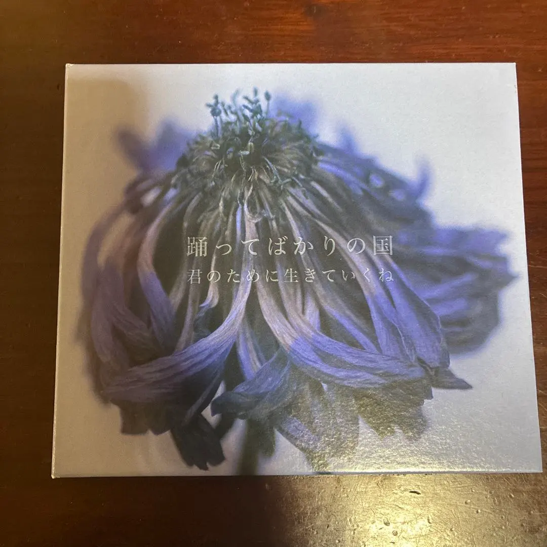 2026年最新】君のために生きていくね 踊ってばかりの国の人気アイテム