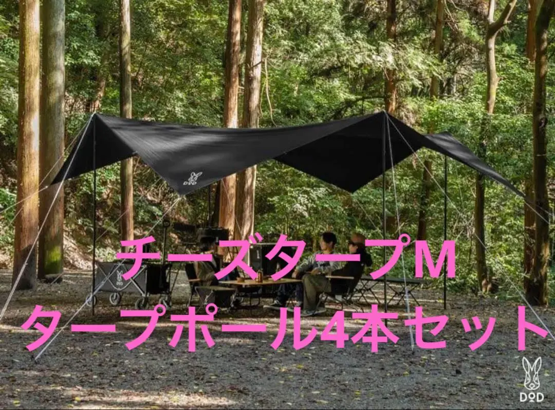 2026年最新】チーズタープの人気アイテム - メルカリ