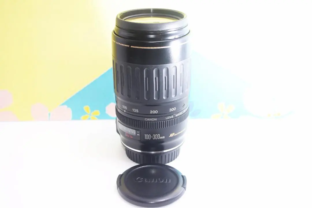 2026年最新】EF 100-300mm F5.6 Lの人気アイテム - メルカリ