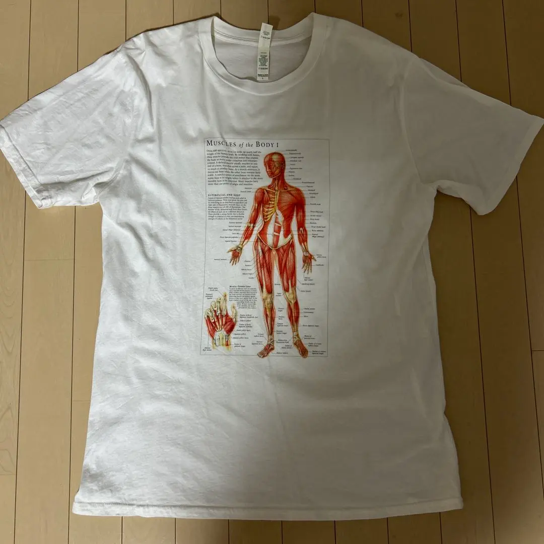 2026年最新】人体模型 tシャツの人気アイテム - メルカリ