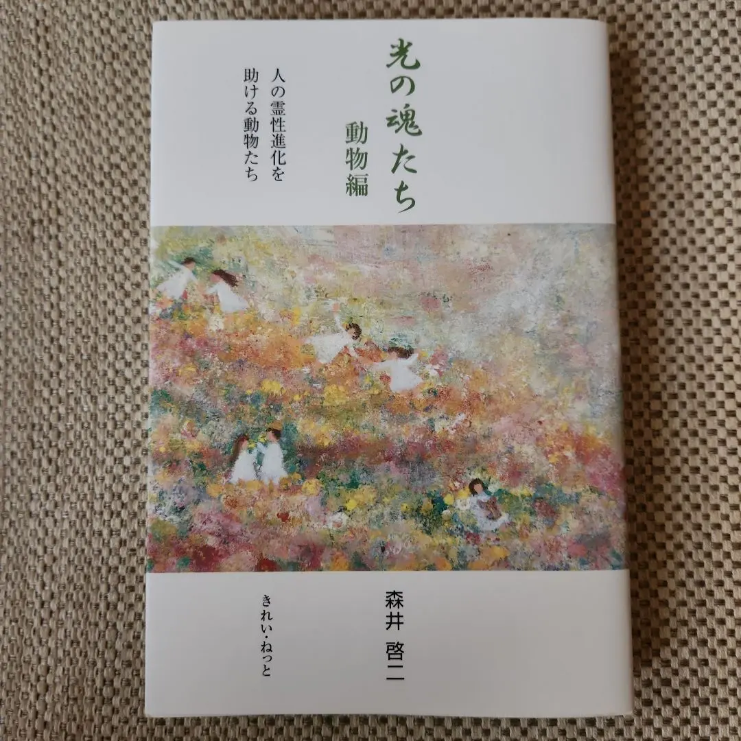 2026年最新】森井啓二 光の魂たちの人気アイテム - メルカリ