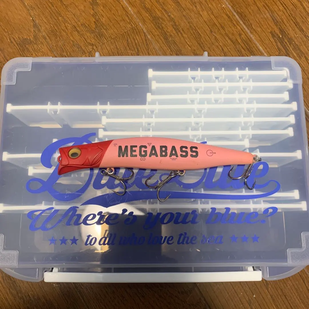 m95291156324_1.jpg?1767421345