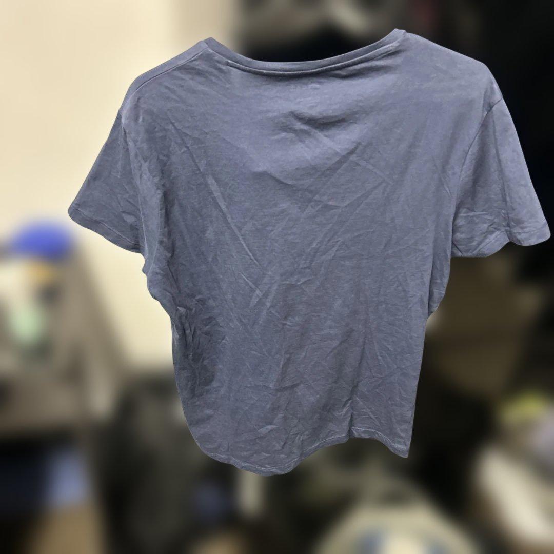 B'z 稲葉さん着用 GAS Tシャツ HINOTORI M 美品 - メルカリ