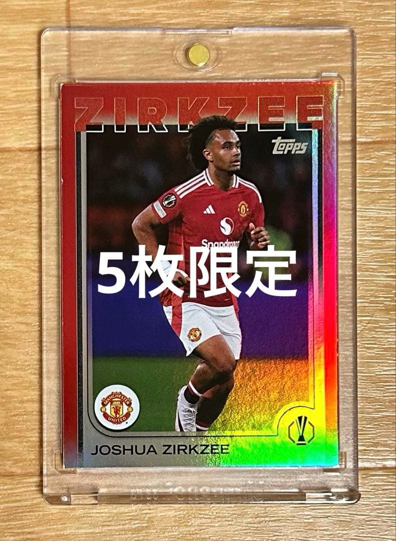 サッカー カラーマッチ 75シリ ハーランド panini haaland