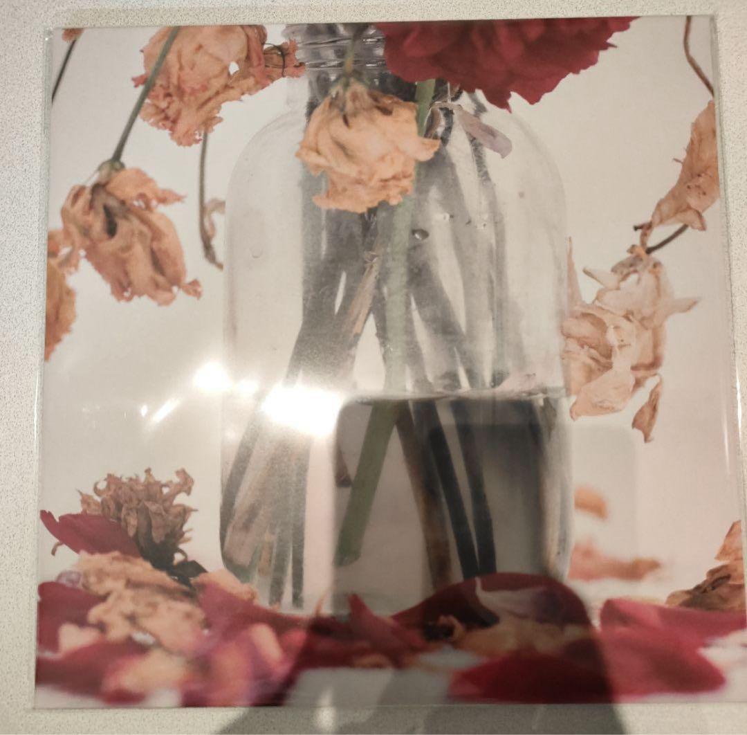 唾奇 Camellia LP (2 vinyl set) 武道館