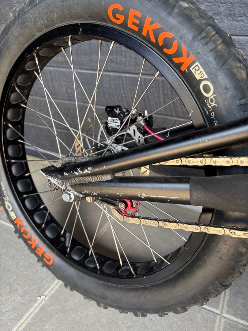 ECHO トライアル自転車 HOPEブレーキ付き パーツおまけ付き