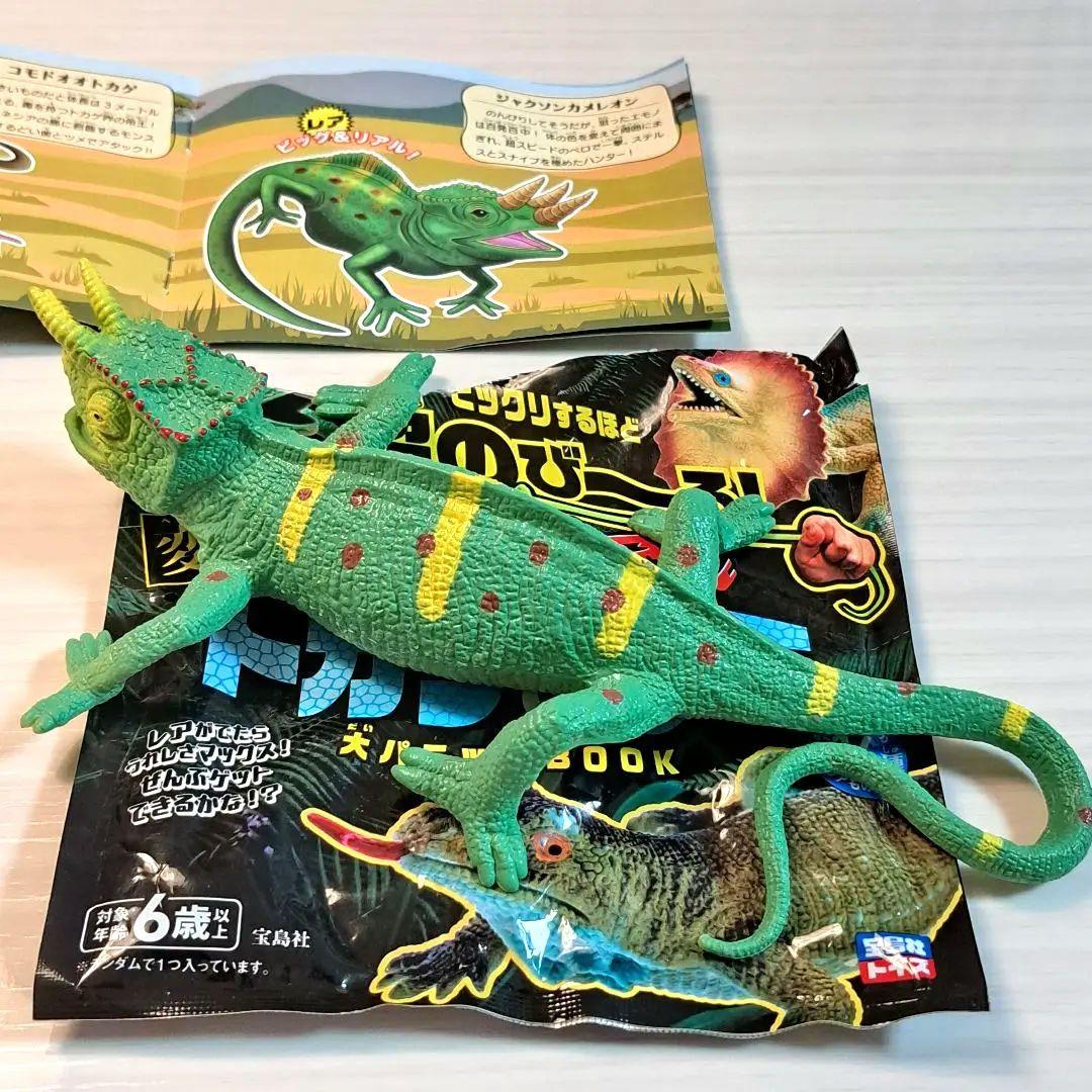 変形爬虫類リアル トカゲ&ワニ 大パニックBOOK ジャクソンカメレオン