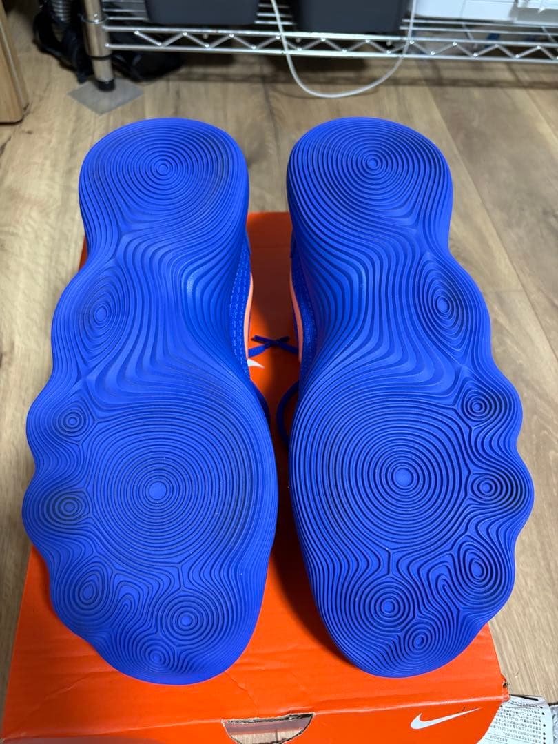 シューズ(男性用) NIKE HYPERDUNK 2017 LOW EP 28.5cm