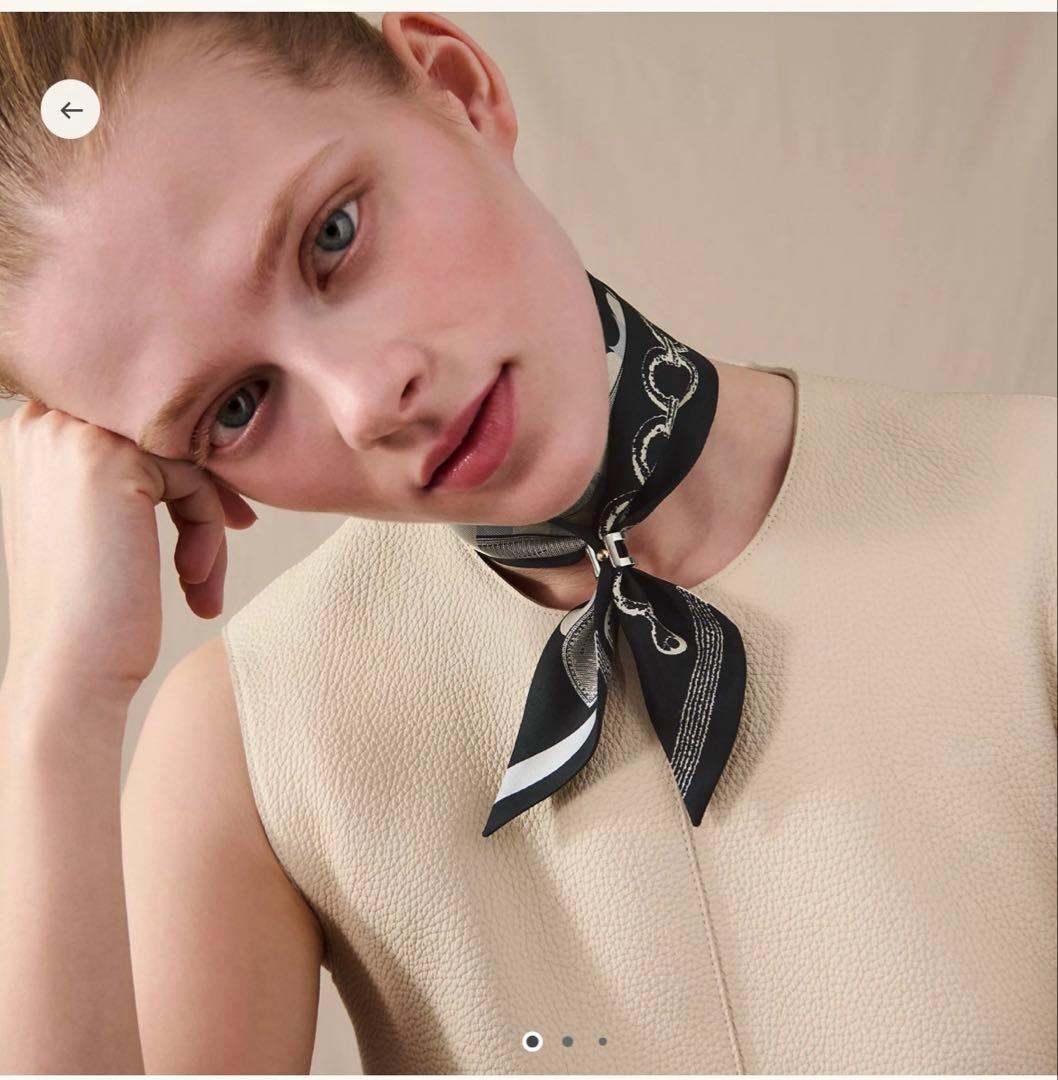 エルメス ツイリー2025aw ブリット ア ブロック - メルカリ