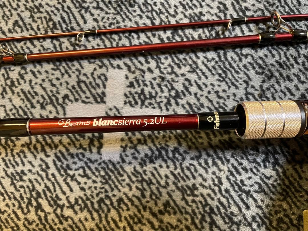 フィッシュマン beams blancsierra 5.2UL