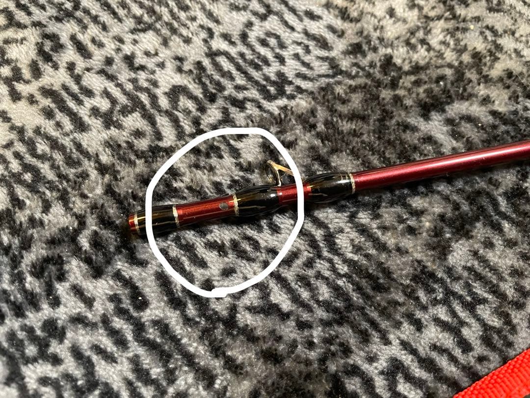 フィッシュマン beams blancsierra 5.2UL