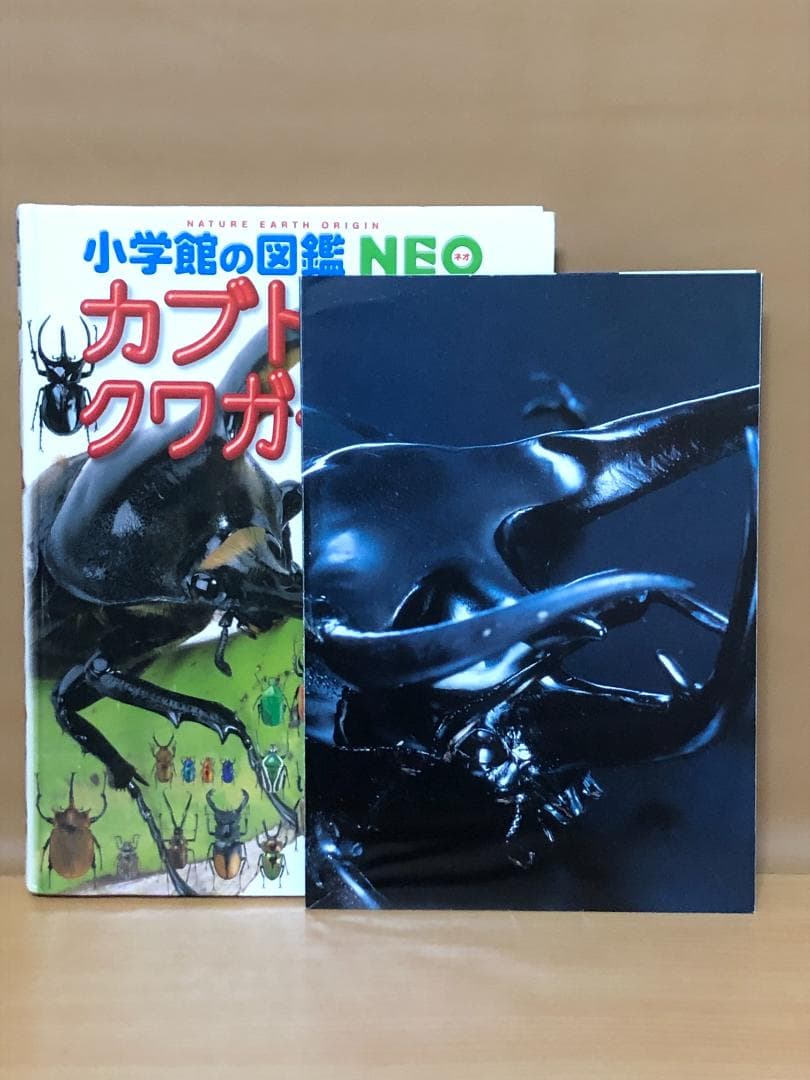 小学館の図鑑NEO 17冊
