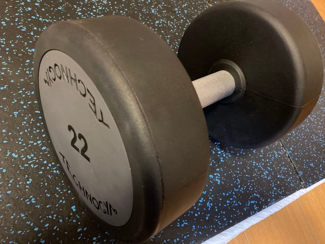 送料込 ①テクノジム 業務用ウレタンダンベル22kg ivanko irotec