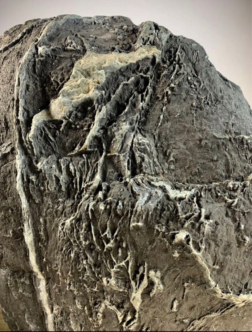 4273 粕川麒麟石 ウブ  横20×高43(cm)20.85kg