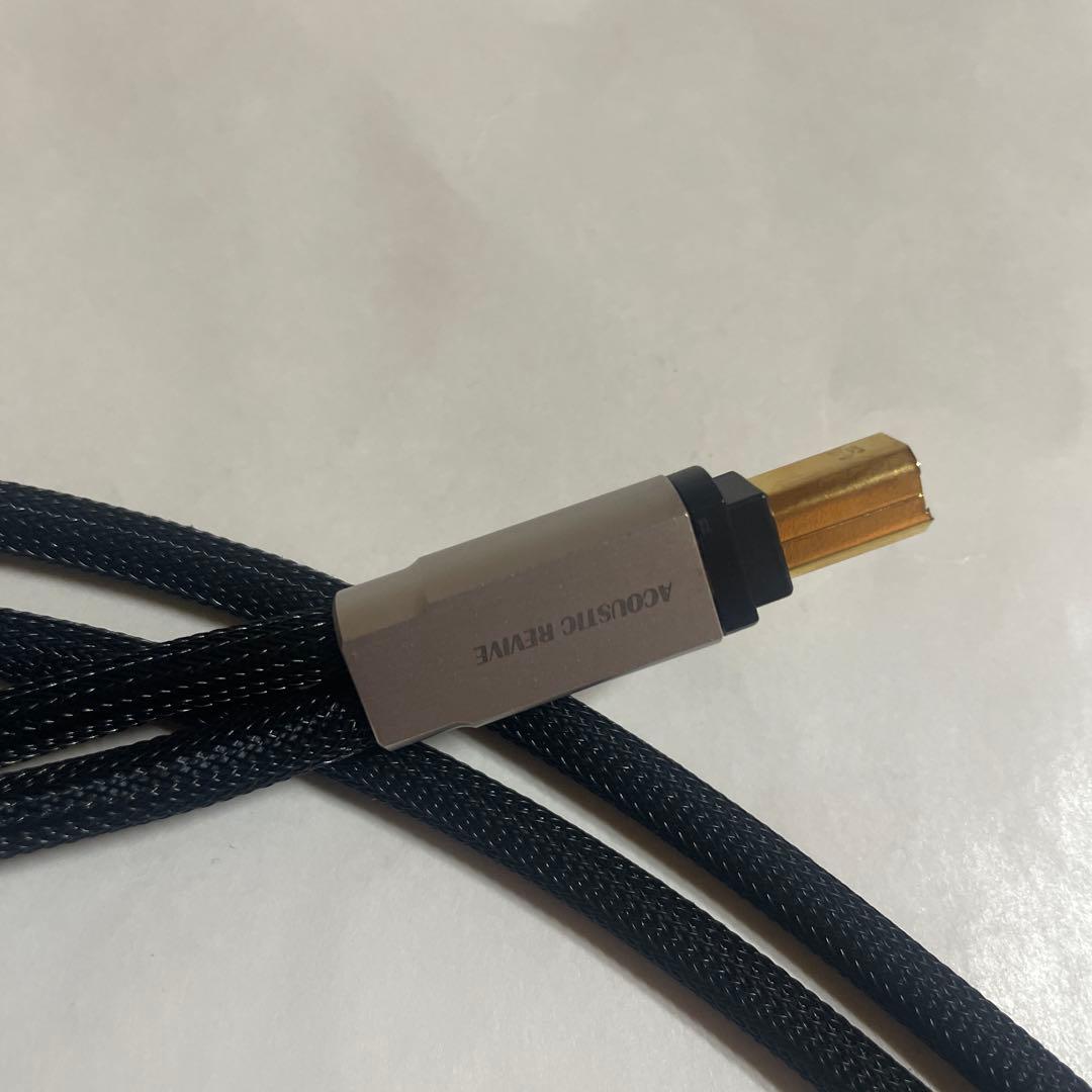 アコースティックリバイブ USB-1.0PLS1m中古日 - メルカリ