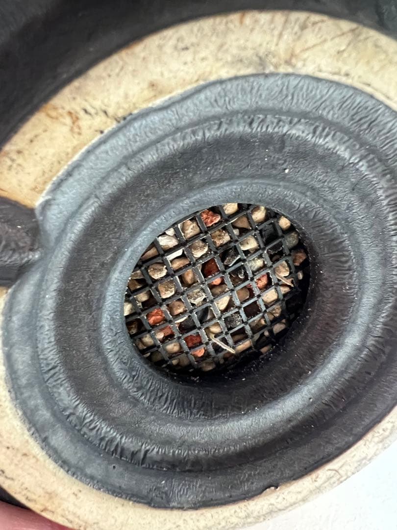 アツ　グラキリス