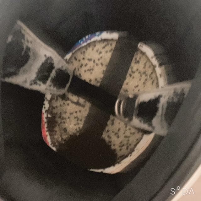 ほっこりわん様専用】BUCO ブコ ヘルメット シルバーラメ M/Lサイズ