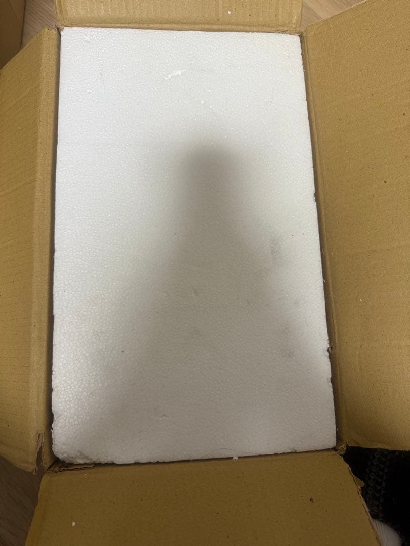 激レア‼️【デビルマン】シレーヌとデビルマン（不動明） ボークス20