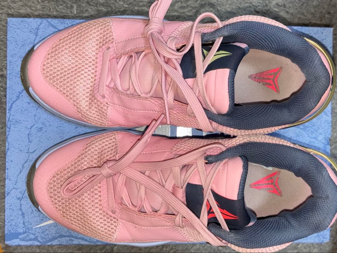 Nike Ja 1 バッシュ　【レア】26.0cm ピンク