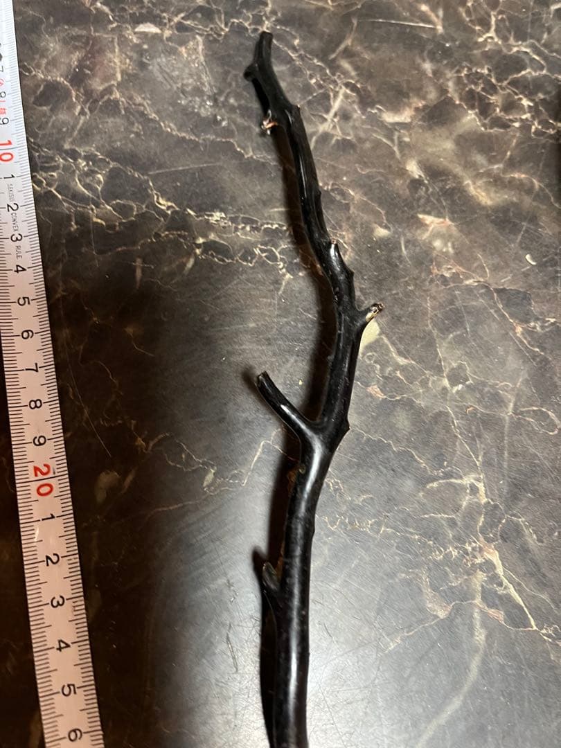 黒松珊瑚、海松、黒海松、深海珊瑚、黒珊瑚、 海松(黒珊瑚・Black Coral) | 伊吹新八商店 IBUKISHINPACHI