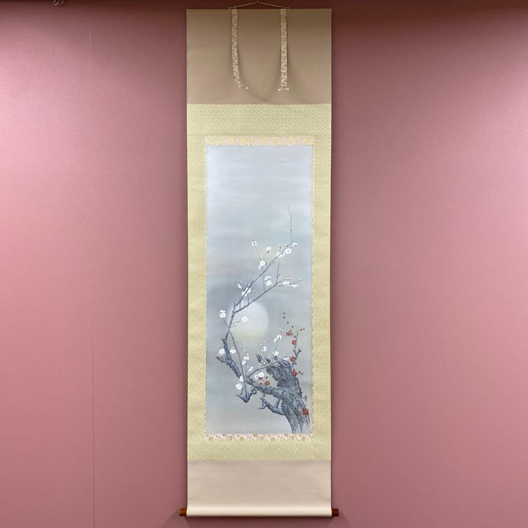 美品 掛け軸 柳沢寿江作 紅白梅図 共箱 太巻き 縁起物 美品 掛け軸5本 柳沢寿江作 金地 梅に鶯図 他 - メルカリ