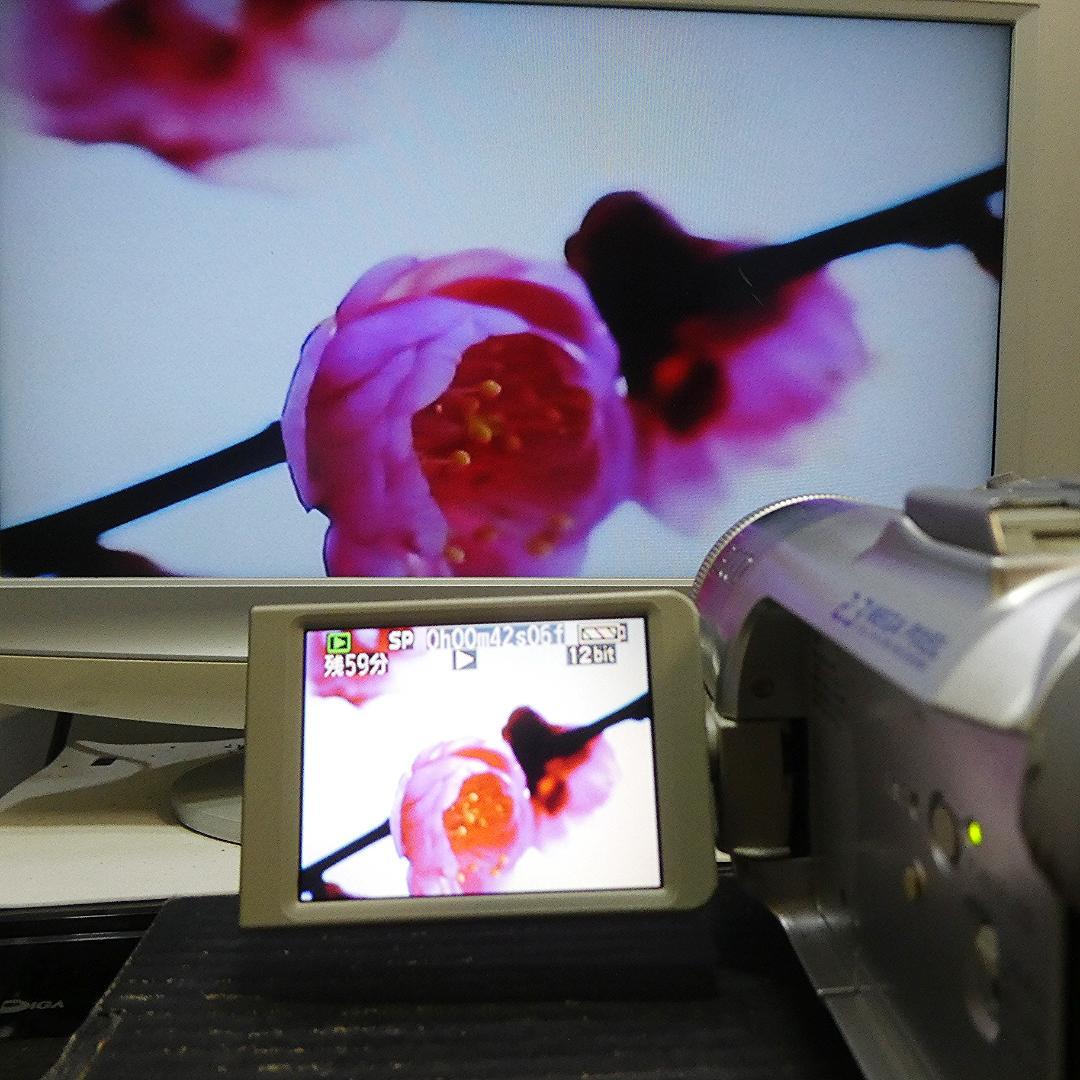 美品・動作良好 パナソニックNV-GS150 MiniDVビデオ　DVD化に最適