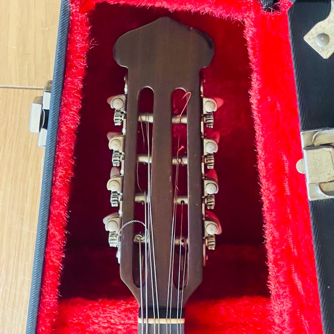 クレヨン7色様】石川捷二郎監修 Venezia マンドリン M-50 木曽鈴木