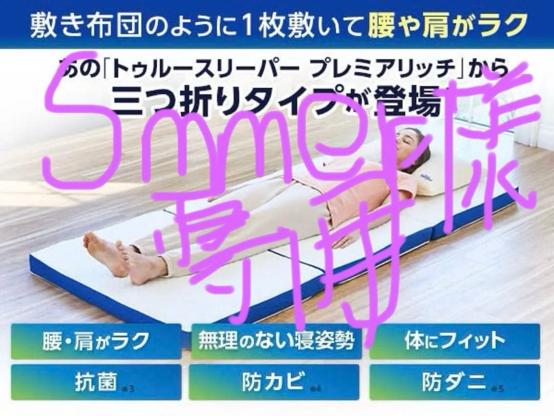 トゥルースリーパー エアフリー 三つ折りタイプ セミダブル トゥルースリーパー（True Sleeper） エアフリー 三つ折りタイプ 特別