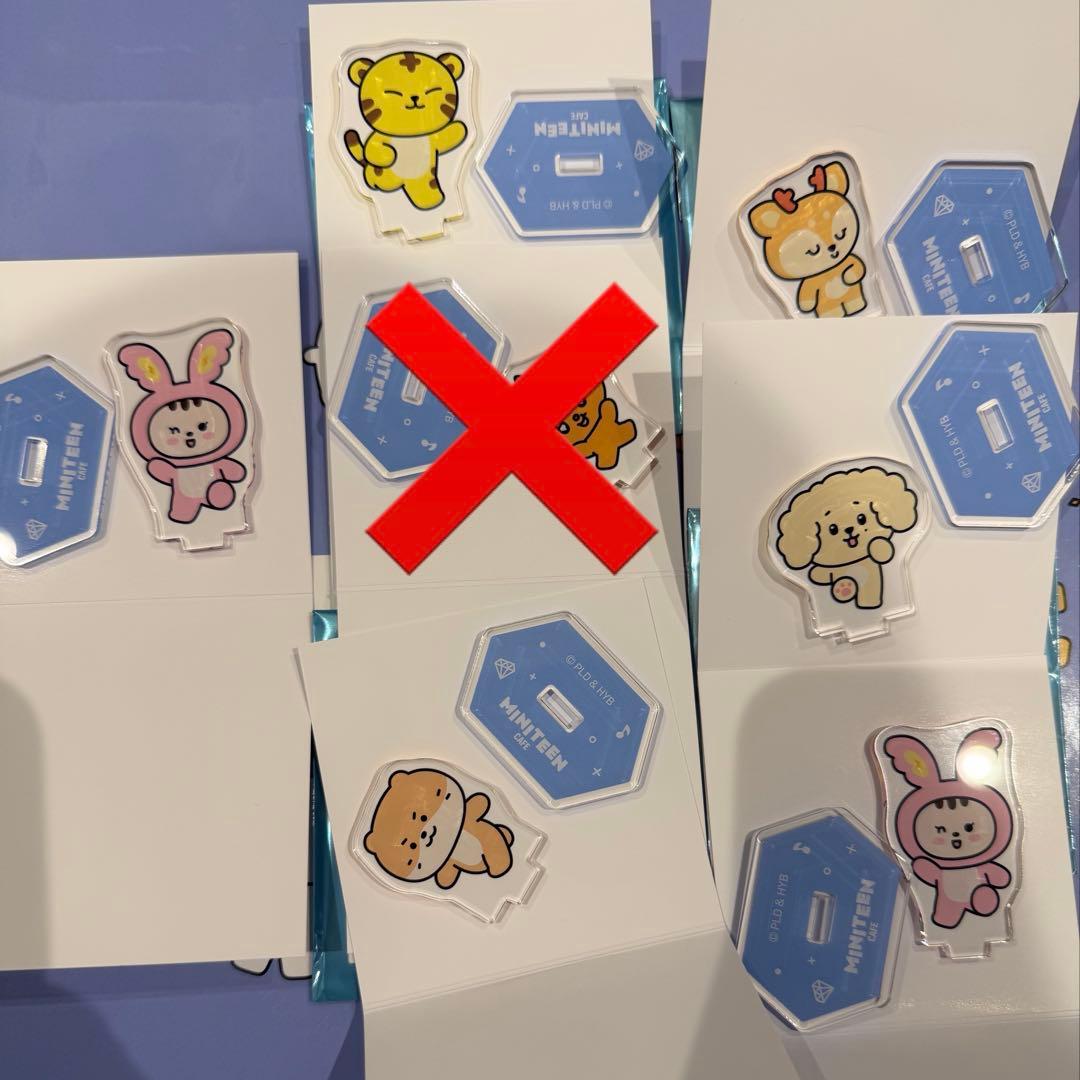 P willinckii wild 龍巻 前葉体 タッパーごと