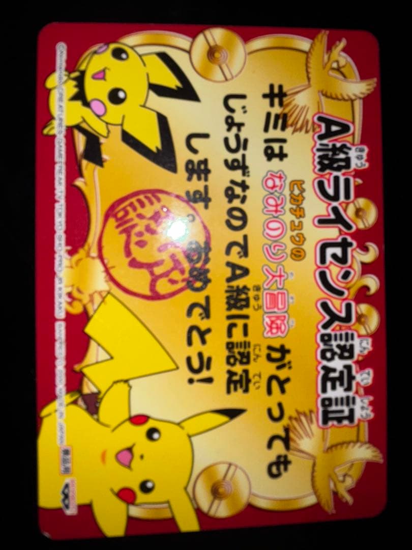 A級ライセンス 認定証 ピカチュウ なみのり大冒険 ポケモン 2種