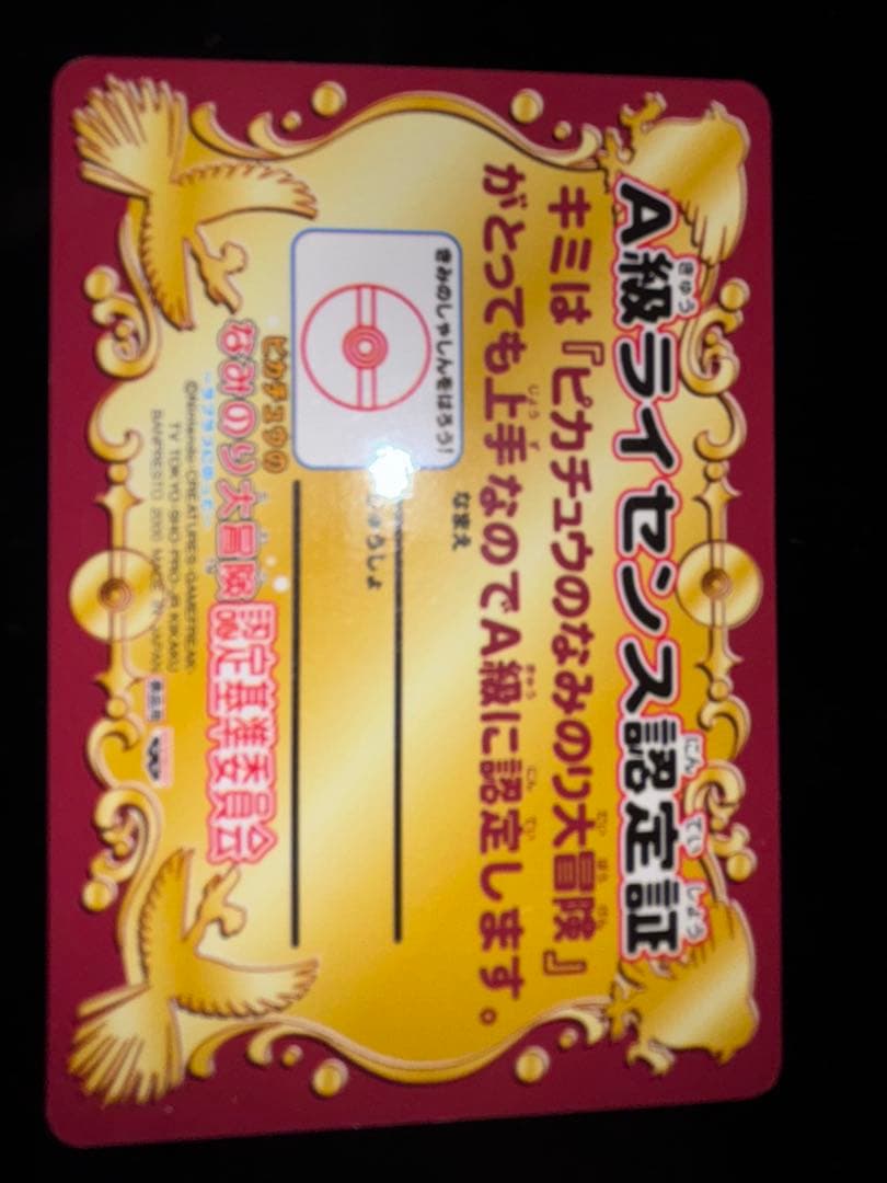 A級ライセンス 認定証 ピカチュウ なみのり大冒険 ポケモン 2種