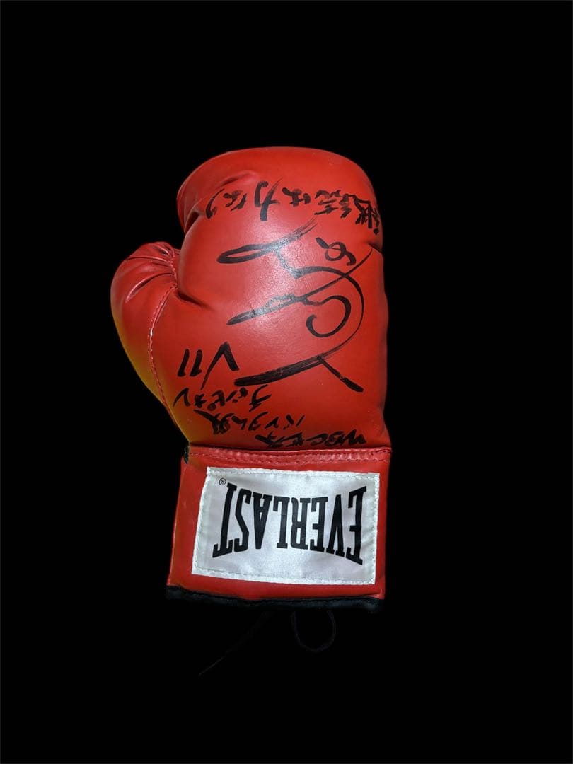 u*f様 山中慎介 直筆サイン入りグローブ WBC バンタム級 V11 赤 - メルカリ