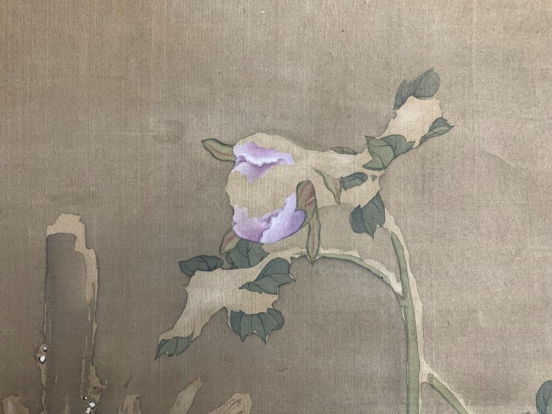 宋紫石 寒牡丹図 絹本 肉筆 掛軸 北洲極箱 長崎派 中国画 江戸中期