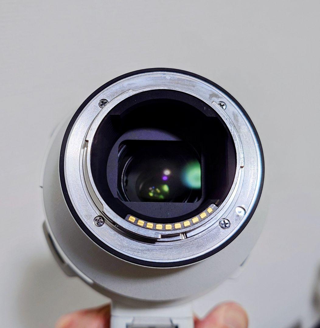 レンズ(ズーム) SONY FE 200-600mm F5.6-6.3 G OSS