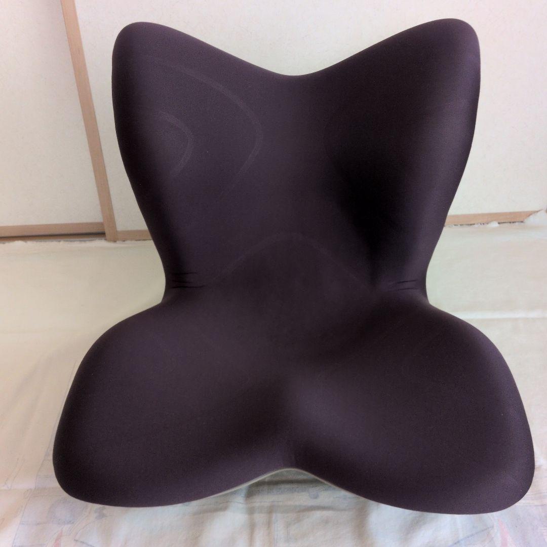 矯正用品・補助ベルト Style Premium Seat 楽天市場】スタイルプレミアム Style PREMIUM プレゼント ギフト MTG