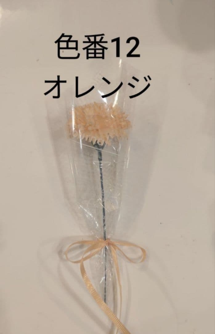 ゆみいん