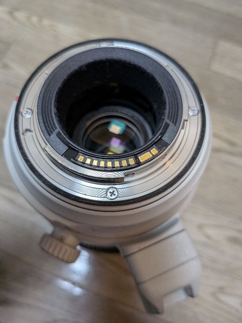 レンズ(ズーム) Canon EF 100-400mm F4.5-5.6 L IS II USM