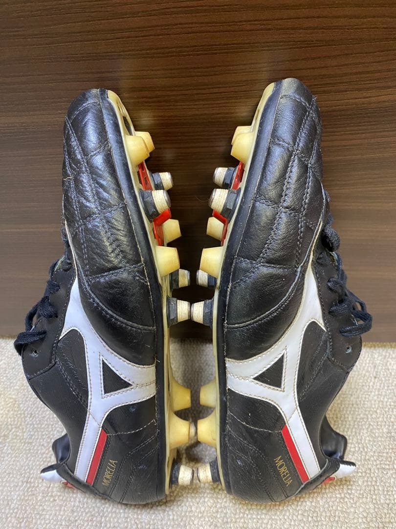 【希少・入手困難】MORELIA モレリア2 クロスステッチ(27.5cm)