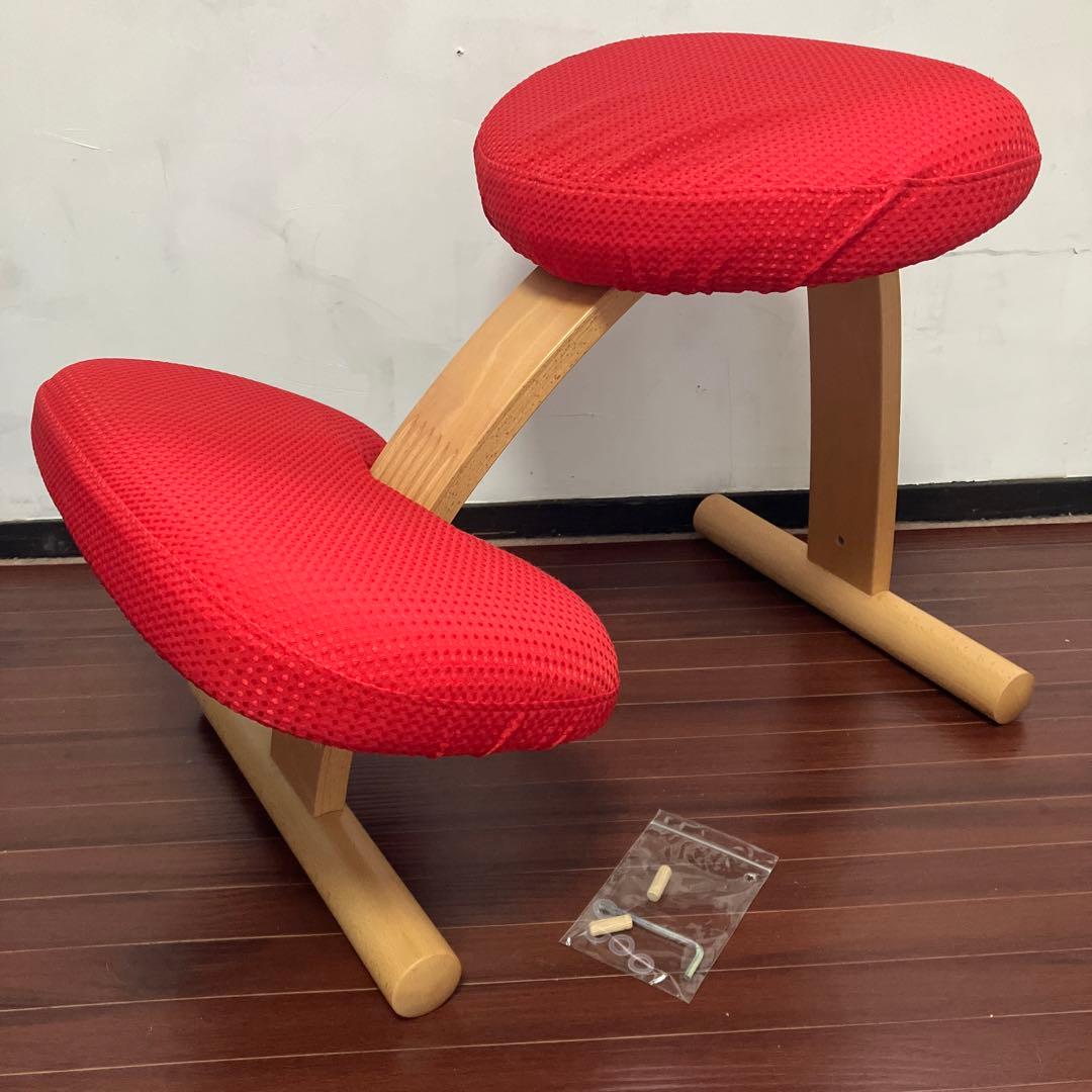 【美品】sakamoto Balans Easy バランスチェア 専用カバー バランス イージー専用｜はっ水カバー バランスラボ – バランスチェア