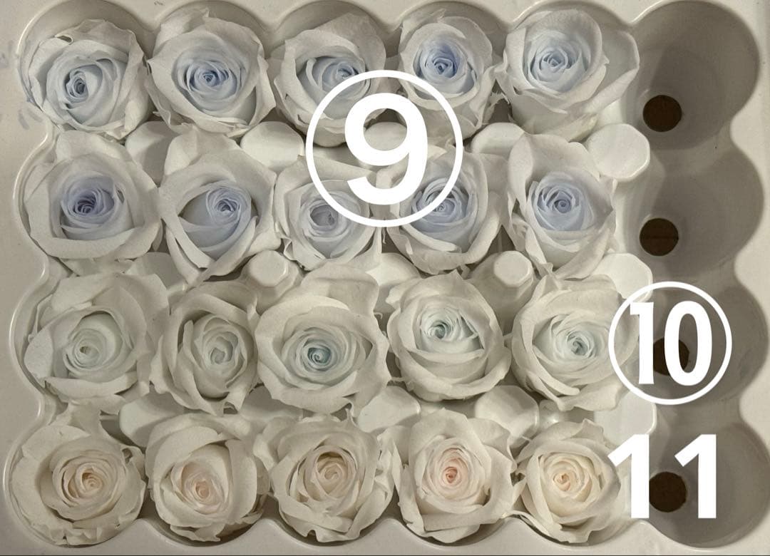 薔薇プリザーブドフラワー☆径2.0〜2.5cm★5個で¥300★