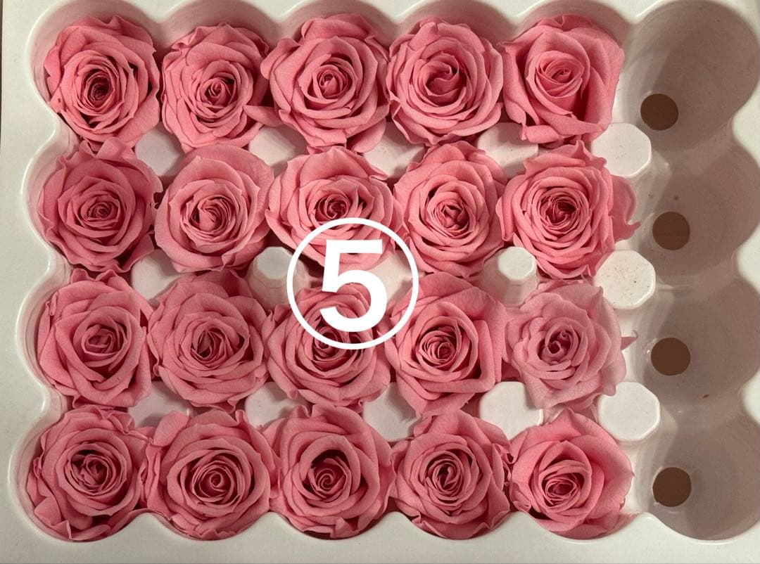 薔薇プリザーブドフラワー☆径2.0〜2.5cm★5個で¥300★