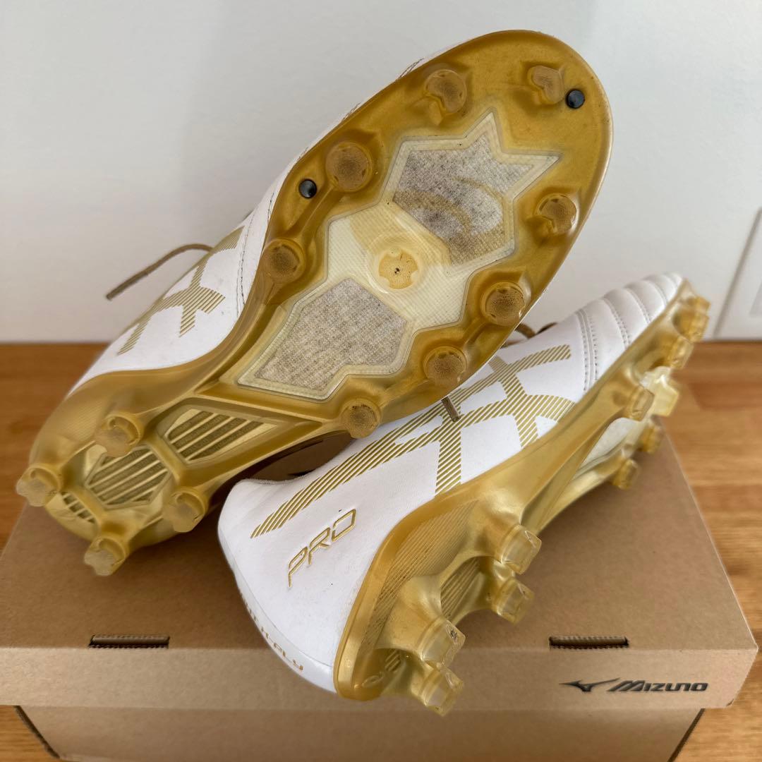 アシックス　DS LIGHT X-FLY PRO 25.5cm