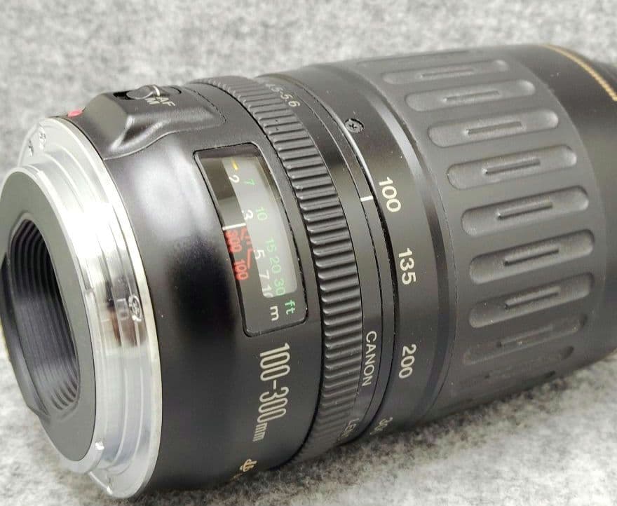 キヤノン　EF100-300mm F4.5-5.6 USM 望遠ズームレンズ