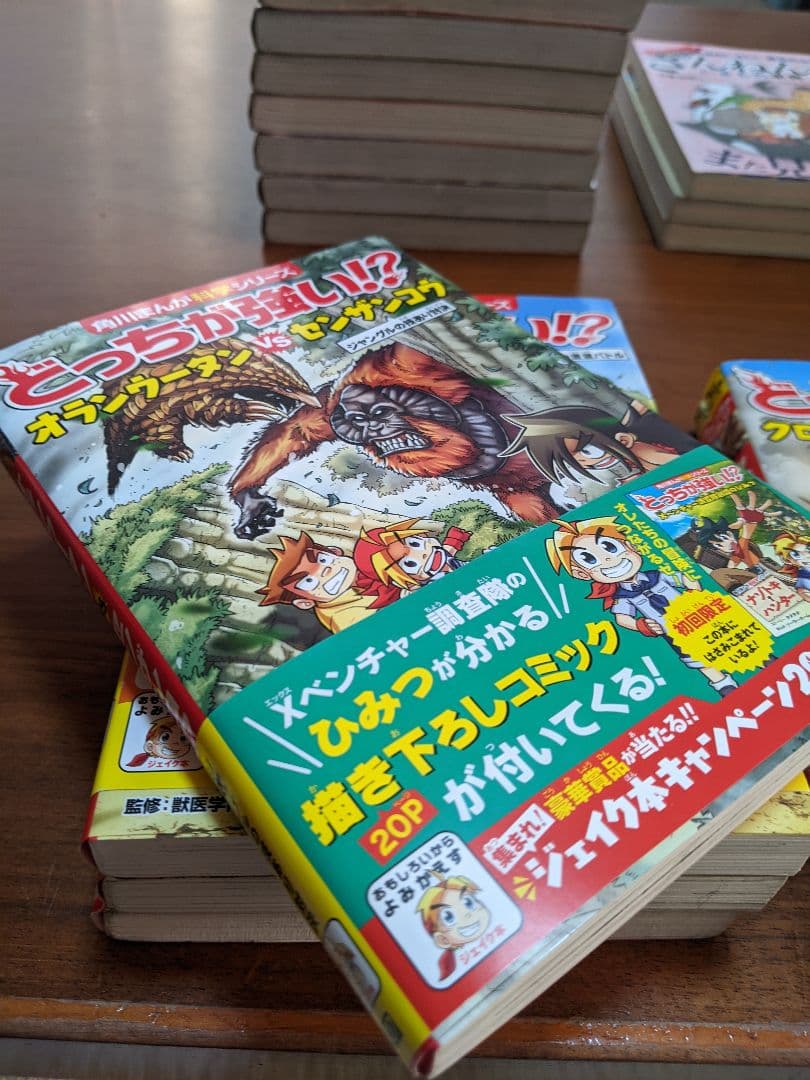 どっちが強い!?／最強王図鑑シリーズ /その他まとめ売り 全21冊セット