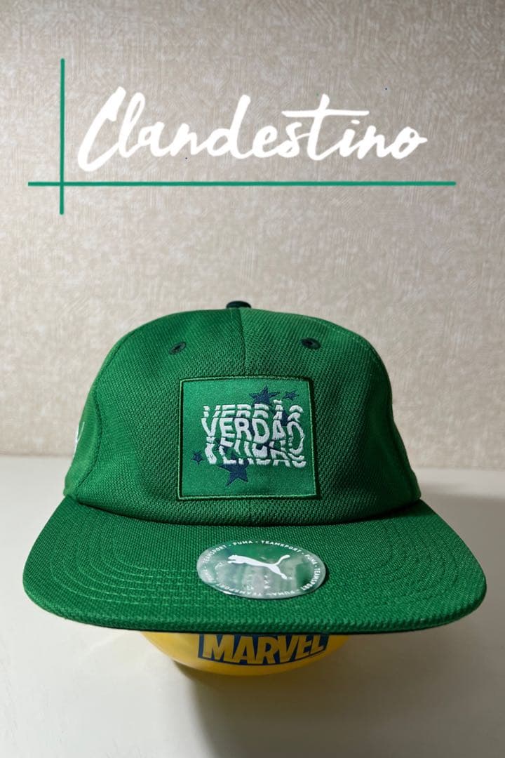 楽天 イーグルス 嶋基宏選手 #37 NPB 直筆サインキャップ 球団