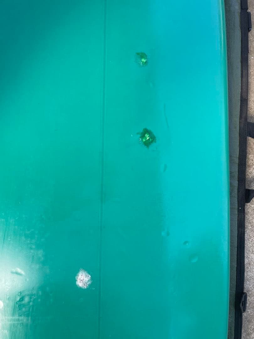 ガイタカヤマ　ロングボード　ノーズライダー　9.2f シングル　Tバンドスト