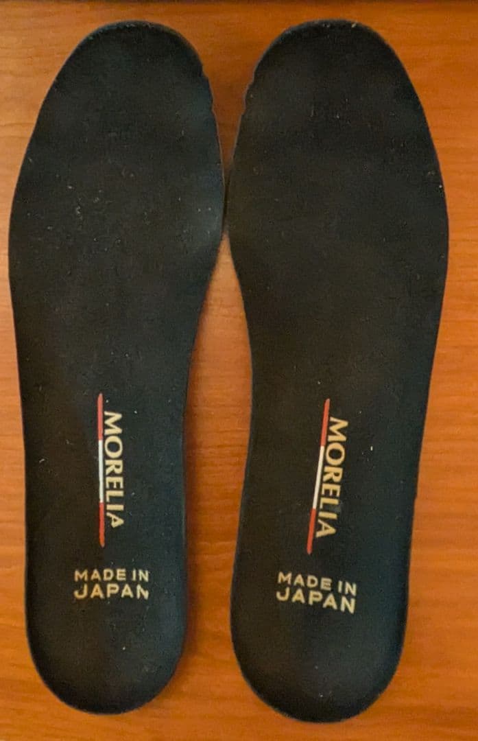 モレリアDNA 25.5cm