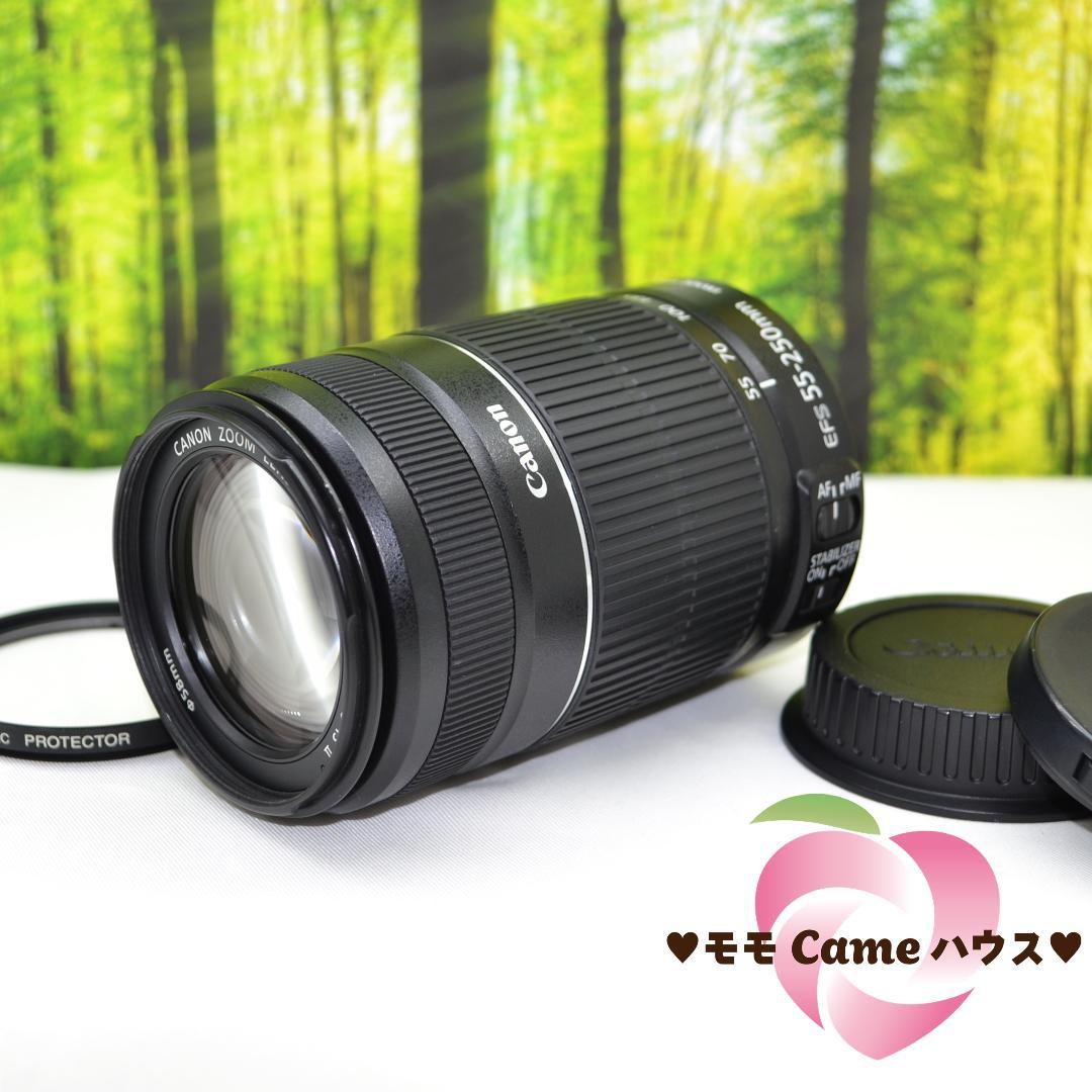 キャノン望遠レンズ☆EF-S 55-250mm手ブレ補正つき☆1897-1 2024