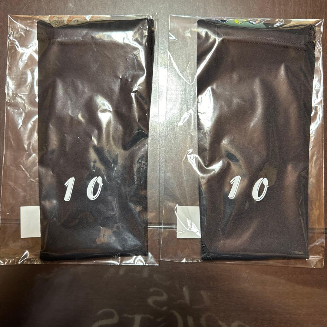 セラミックパワーギア プロ仕様 アームサポーター セラミックパワーギア アームサポーター プロ仕様 2本縫製 FITEX