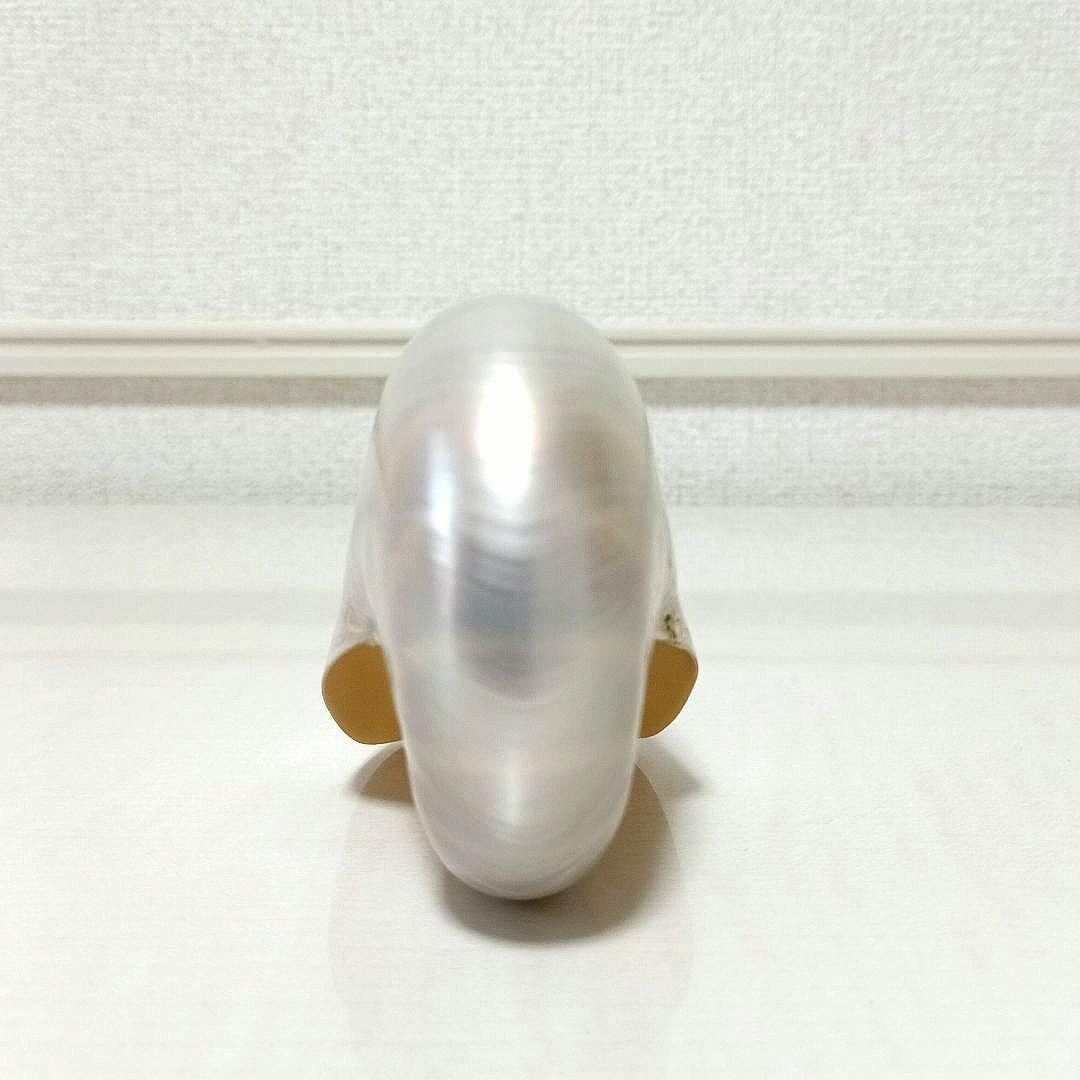 オウムガイ オウム貝 パール 貝殻 置物 オブジェ 標本 インテリア Ome